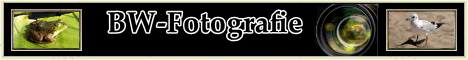 BW-Fotografie